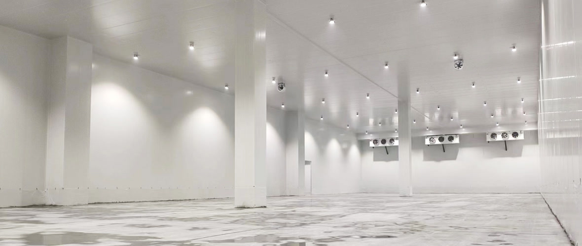 50,000m³ Cold-Chain Logistics — Wuhan