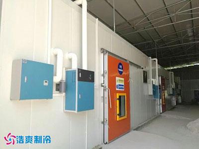 1,000-Ton Strawberry CA Cold Storage — Dandong